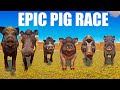 Ultimate epic pig speed race in planet zoo included vietnamese potbellied pig  visayan warty pig