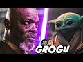 Is This True? Mace Windu Actually did Save Grogu?