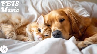 Healing Music For Stressed Dog & Cat! Music That Give COMFORT To Pet |Anxiety Relief, Deep Sleep