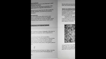 Extranuclear genome #notes # variegation in leaves # types of variegation🍀