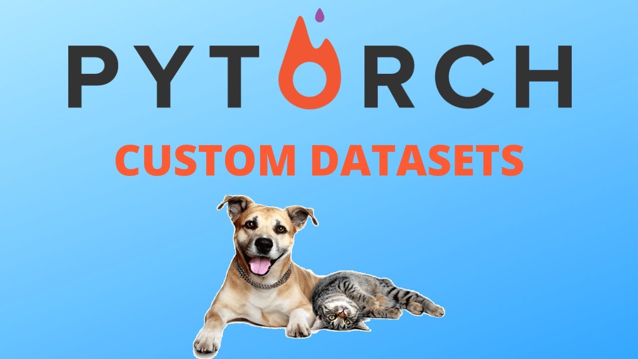 How to build custom Datasets for Images in Pytorch