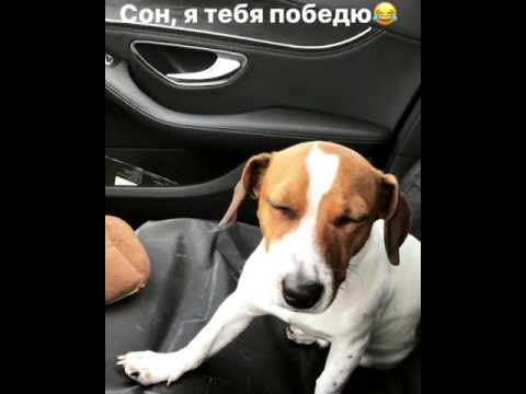 Сон, я тебя