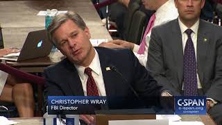 FBI Director Wray Opening Statement (C-SPAN)