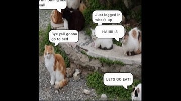 day 175 of p-ranking* a random level from ultrakill until i figure out my gender identity