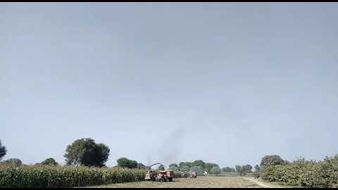 Row Independent maize Chopper by CATTLEKIT