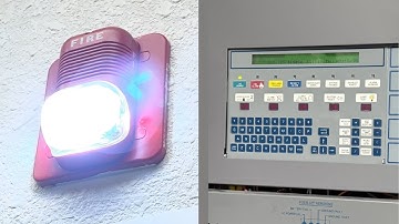 Fire Alarm Test 170 | Notifier AFP-400