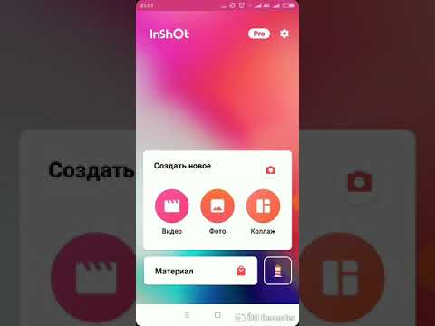 Video: Кантип кабык жасоого болот