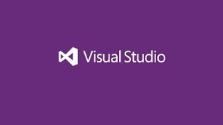 VISUAL STUDIO 016 - Ejercicio 05 Net Worth