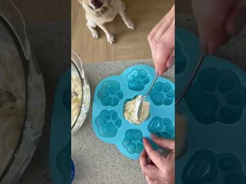 Video: Puppy Ice Pops Opskrift