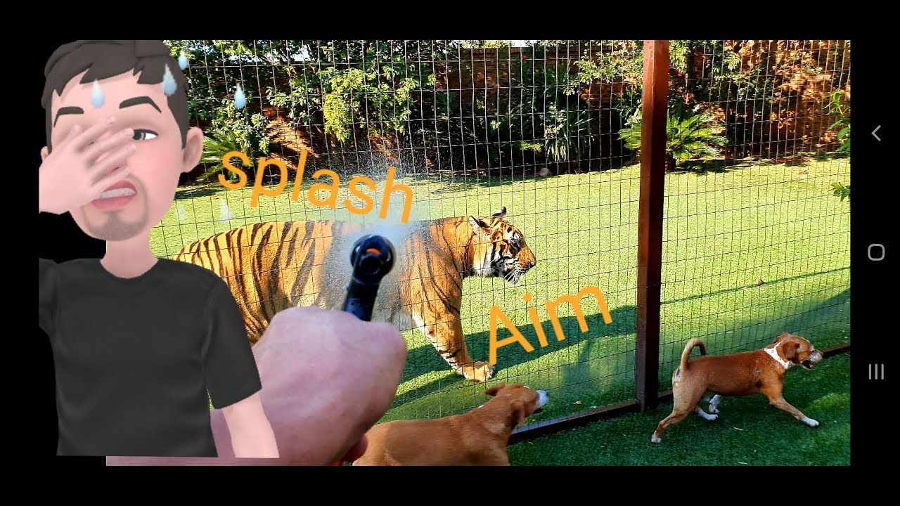 vlogs in spanish Last day of summer in the southern hemisphere.