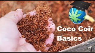 Growing Cannabis In Coco Coir Basics My Feelings On Coco