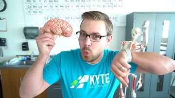 BrainPOP - Kyte EdTech Quick Review