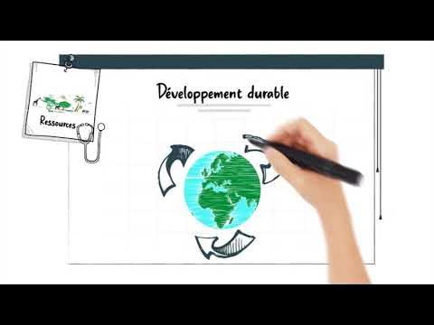 La Comptabilité écosystémique du Capital Naturel CECN (teaser) YouTube