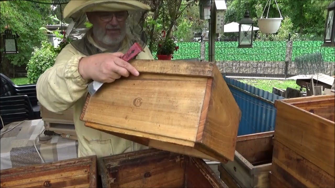 Beutenpflege Gedankenspaziergang