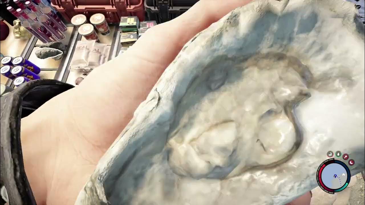 How to get Oyster Sons Of The Forest YouTube