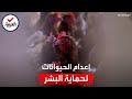 الطيور والدواجن وحتى الثعالب كيف يتم إعدام ملايين الحيوانات بسبب إنفلونزا الطيور