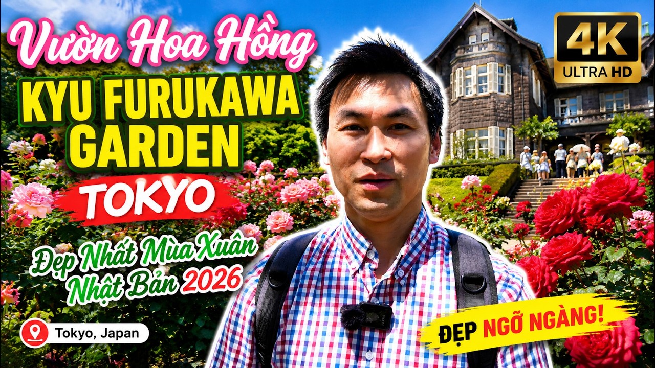 Vườn hoa hồng Kyu Furukawa Garden Tokyo đẹp nhất mùa xuân 2026