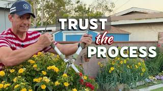 I Cut Everything Back... Here's Why | Annuals, Roses, Gladiolus and Boxwood Reset