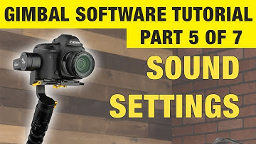 Ikan Beholder Gimbal Sound Settings | Part 5 of 7