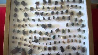 Books, Bugs and Backstories