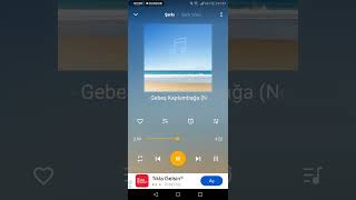 Tarikrap58- Gebeş Kaplumbağa