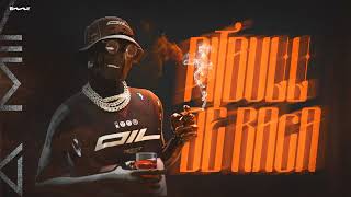Mega Funk - Pitbull De Raça - Dj Machado Sc