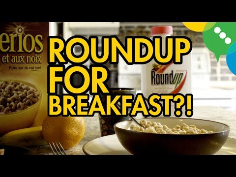 Roundup For Breakfast?!
