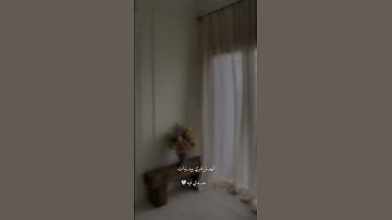 نُورٌ عَلَىٰ نُورٌ .. ❤️ تلاوة خاشعة | القارئ شريف مصطفى _ حالات واتس قرآن قصيرة 🍂