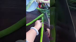 Wk 1958254246 mini rotary tillage and ridging all-in one trees, plants short #travel#beach #flowers Wk 1958254246 mini rotary tillage and ridging all-in one trees, plants short #travel#beach #flowers