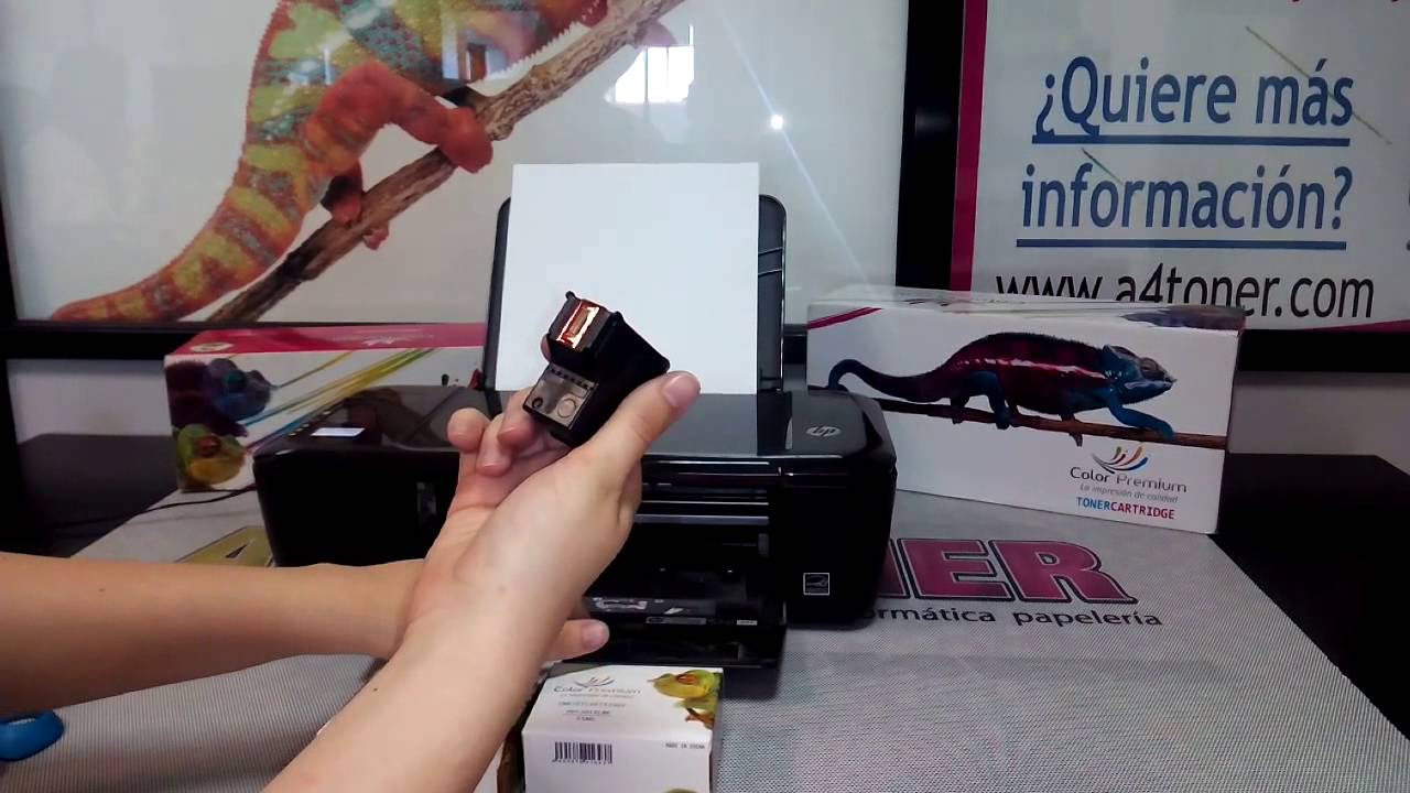 Sabio Opinión Discriminación como cambiar cartucho de tinta hp deskjet 2135  - jobstower.net