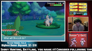 ORAS Shiny Hunting Livestream: Shiny Zangoose Encounter (Highlight)
