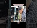 DIY Car Build &amp; Auto Repair Tips | Vehicle Restoration Project