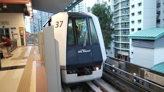 [SBST] Mitsubishi Heavy Industries & Crystal Mover C810 V37 From NE17/PTC Punggol To PE1 Cove
