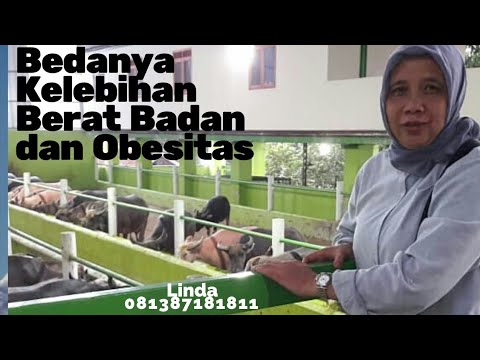 Beda obesitas dan kelebihan berat badan