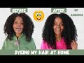 HOW I DYE GREY HAIR BLACK AT HOME WITHOUT AMMONIA | DYE NATURAL HAIR BLACK