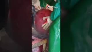 Glass Ball Manufacturing from slag Glass