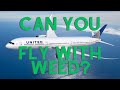 Flying high  can you bring weed on a plane tsa rules for marijuana and thc for flying