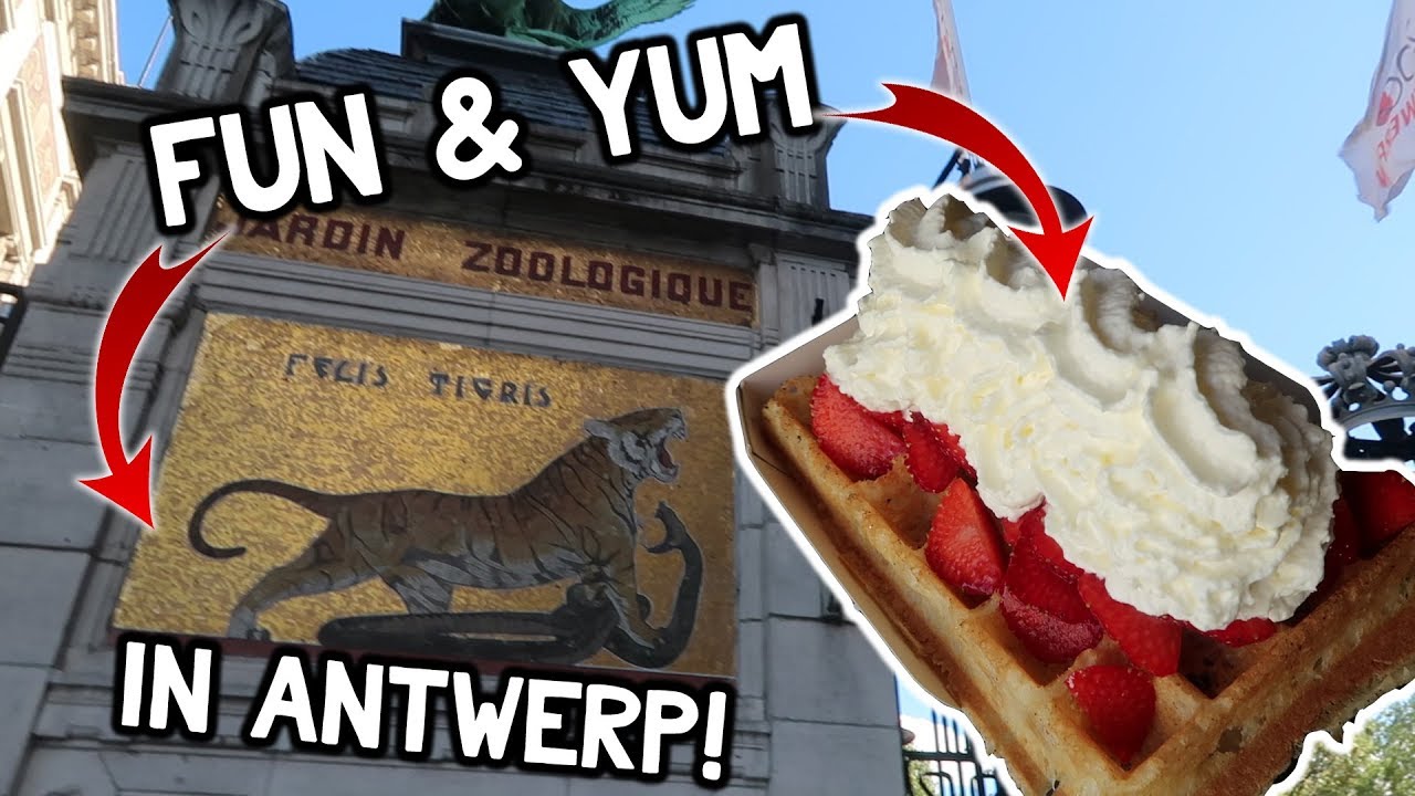 BELGIAN WAFFLES AND TOURING THE ANTWERP ZOO! Dāv Kaufman Vlogs YouTube