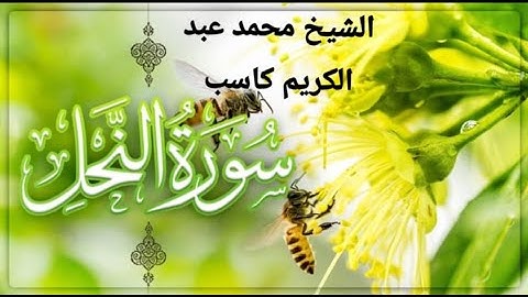 سورة النحل  د محمد عبد الكريم كاسب