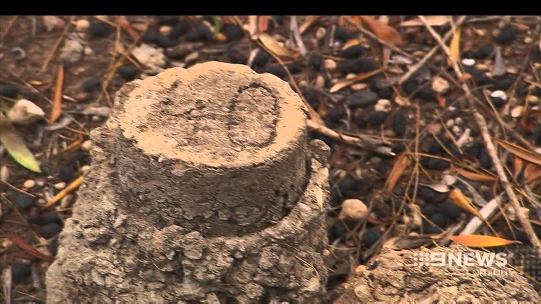 State Wards Memorial | 9 News Adelaide