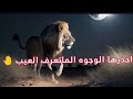 احذرها الوجوه الماتعرف العيب شعر عراقي حزين حالات واتساب 2023 أجمل إشعار عراقيه قصيره حزينه 