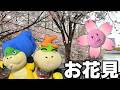 クッパJr、お花見に行く!