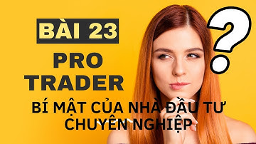 Để Trở Thành Pro Trader Bài 23: Bí Mật Lớn Nhất Của Nhà Đầu Tư Chuyên Nghiệp