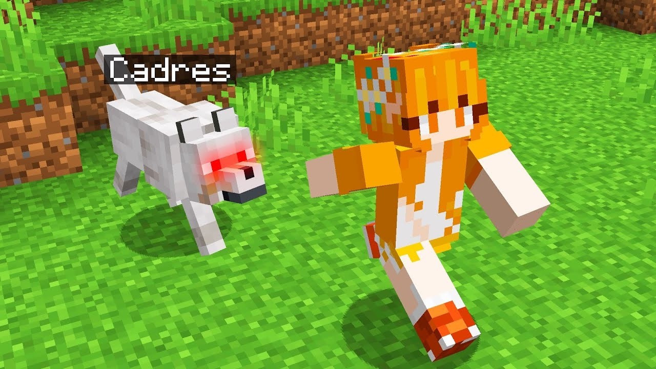 Getting Revenge as a DOG in Minecraft! - YouTube
