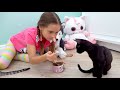 صوفيا وقصص مضحكة في منزلها عن الحيوانات الأليفة القطط والكلب