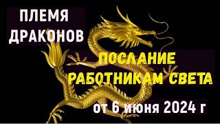 Коллектив: Послание Работникам Света - от 6 июня 2024 г.