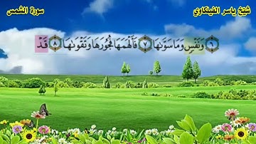 سورة الشمس ياسر الفيلكاوي