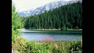 Gönül Erdoğan Ayri Duruyor