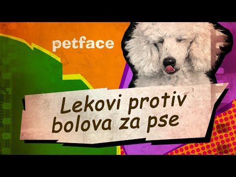 Video: Mogu Li Svom Psu Dati Lijek Protiv Bolova?