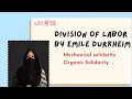 Theory of division of labor by emile durkheim in urduhindi  mechanical and organic solidarity